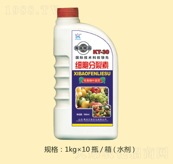 ���徫Ʒ����������-�fȪ�r��