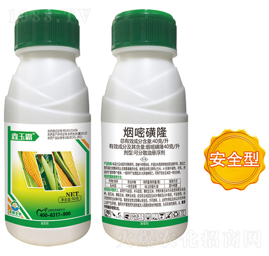 40��ÿ�����׻�¡-�����-��������