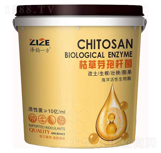 �ݲ�ѿ�ߗU��-���r���