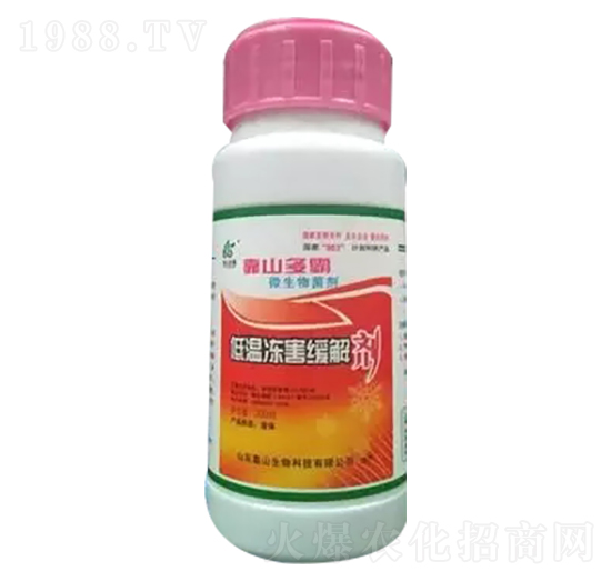 �͜؃������℩-��ɽ����