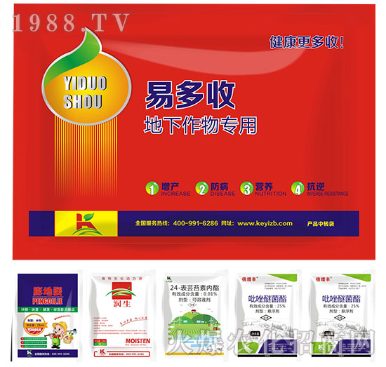 ���������-�׶���-����ֲ��