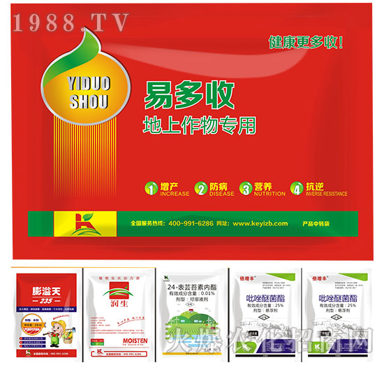 �������(zhu��n)��-�׶���-����ֲ��