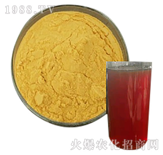 ������-��ʥ����