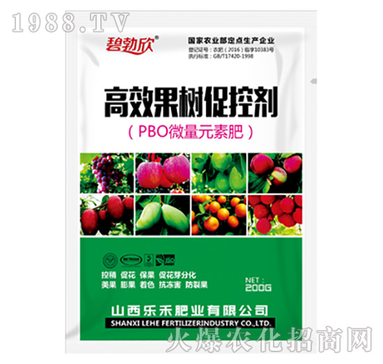 ����ٿ؄�-����