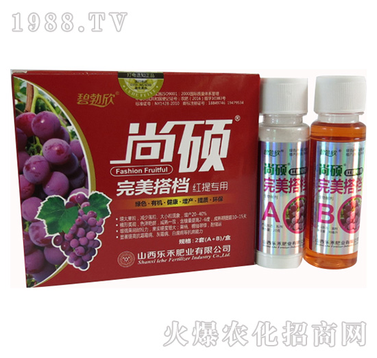 �t�����ь������-����