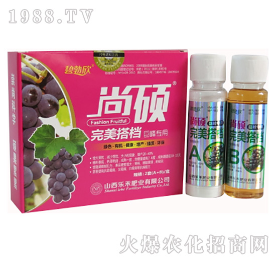 �޷����ь������-����