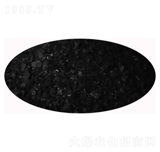 ���徫-�����S