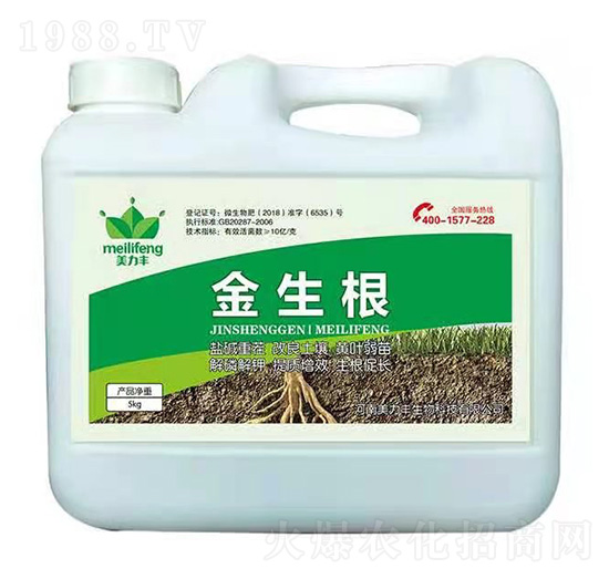 ������-�����S