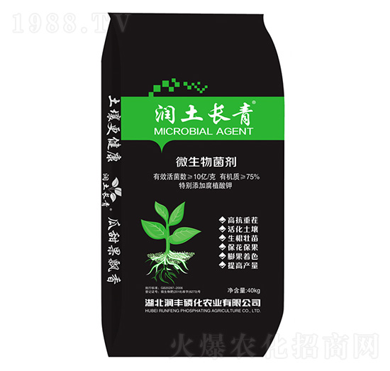 ΢�������-�����L��-���S�׻�