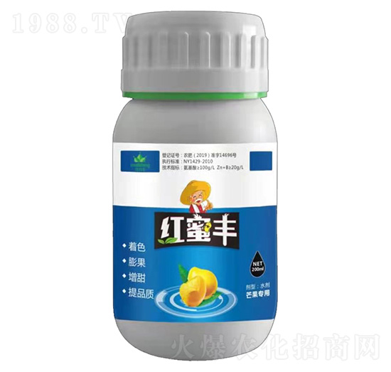 â�����üt���S-�����S