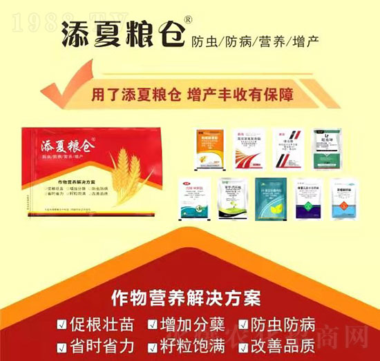 ����I(y��ng)�B(y��ng)��Q����-���ļZ�}-�S�՘�