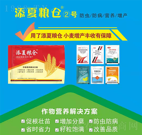 ����I(y��ng)�B(y��ng)��Q����-���ļZ�}(c��ng)��̖(h��o)-�S�՘�(l��)