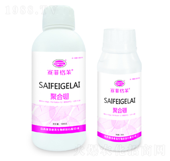 �ۺ���-ِ�Ƹ��R