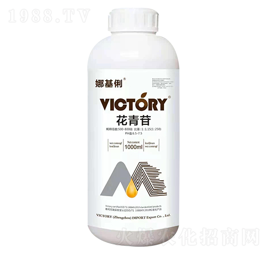 ������-�Ȼ���-�S������