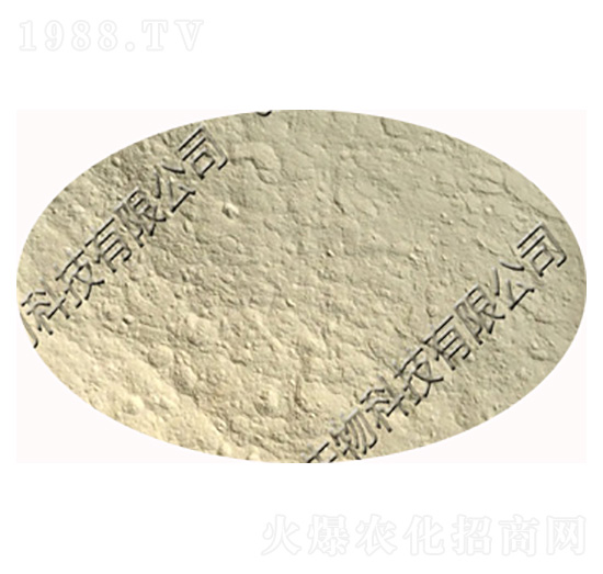 �z�����ѿ�ߗU�����z�|ѿ�ߗU����-�������