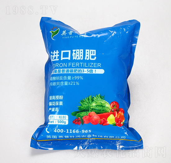 �M(j��n)�����-Ӣ���~��