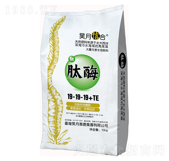 ��ø19-19-19+TE-��»��r