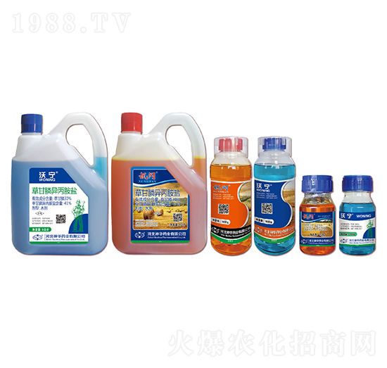 41%�ݸ�좮������}-�֌�+Ӎ�W-���A