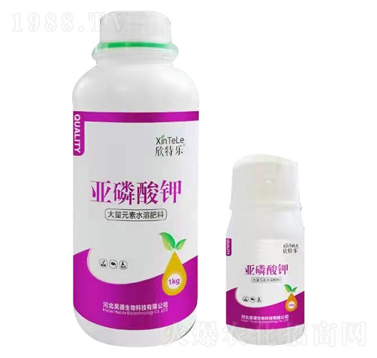 �������-���ؘ�(l��)-껵»���