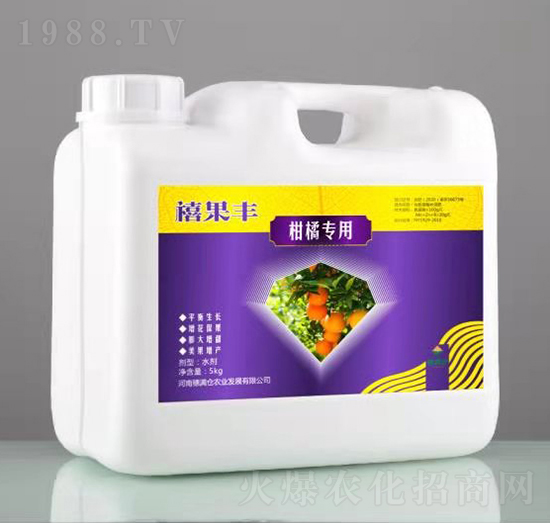 ���ٌ���-�����S-��M�}