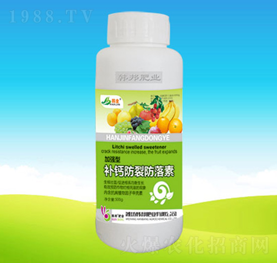 �a(b��)�}���ѷ�����-�n��ʘI(y��)