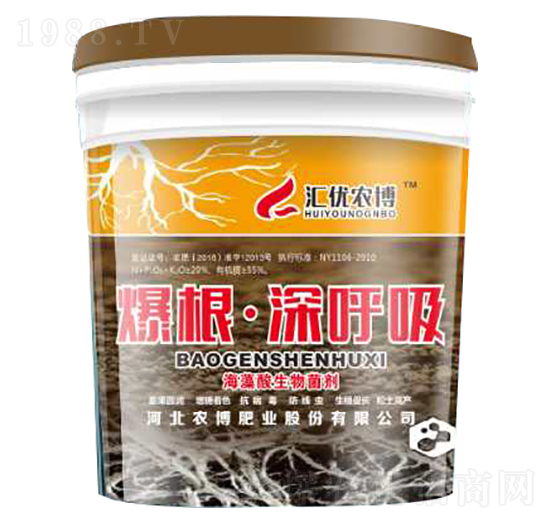 �����������-�R��(y��u)�r(n��ng)��-�r(n��ng)���ʘI(y��)