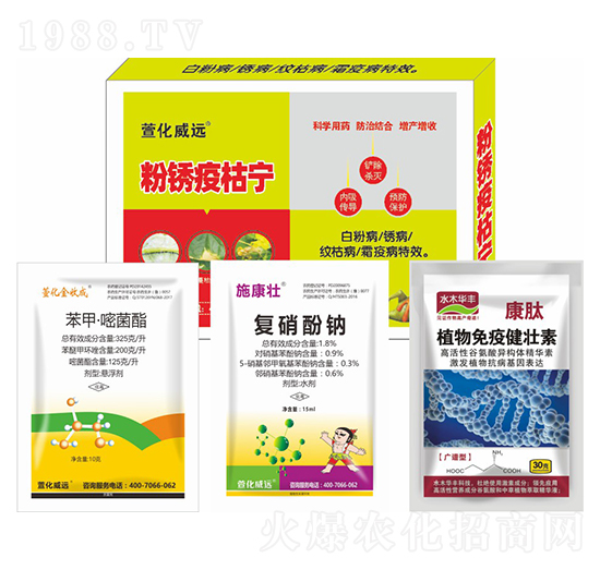 ���P�߿݌�-�滯���h