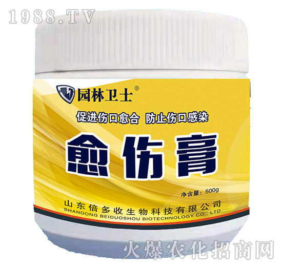 ������-�@���l(w��i)ʿ-������