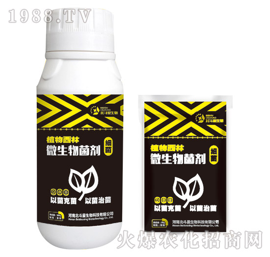 ��������΢�������-ֲ������-������