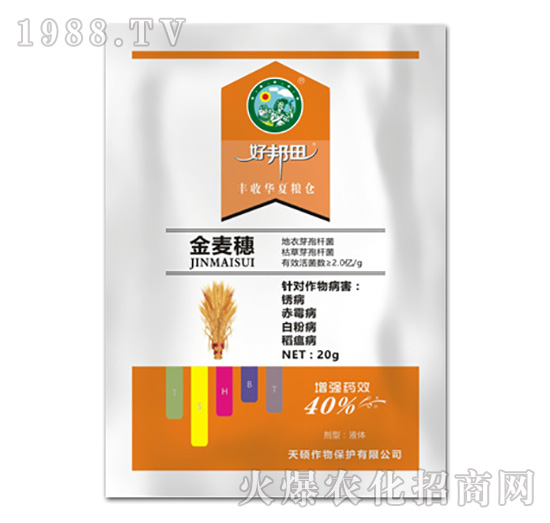 ������-��T����