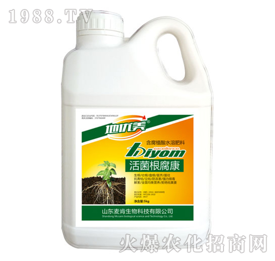 ���������-��������