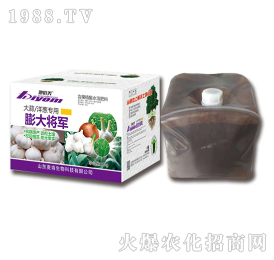 �������[��(zhu��n)�����܊-��������