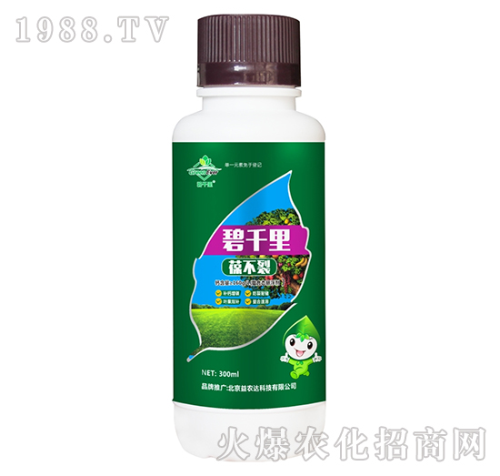 �̸����᲻��-���r�_