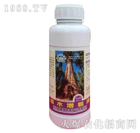 ��ľ����Һ-�ӱ��P��