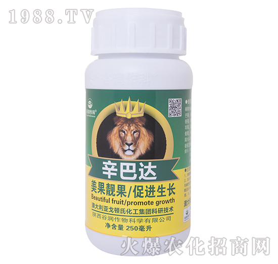 �����_(d��)-�ȝ�(r��n)����