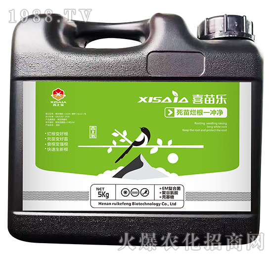 死苗爛根一沖凈-喜苗樂-喜上家