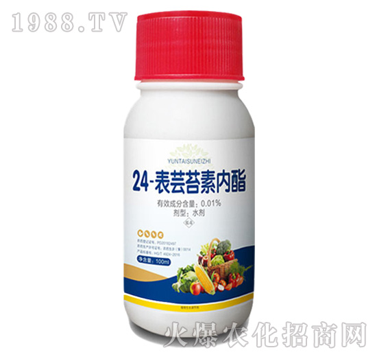 24-���|�|̦�؃���-�пƻ���