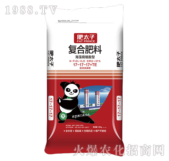 ���帯ֳ���͏ͺϷ���17-17-17+TE-��̫��