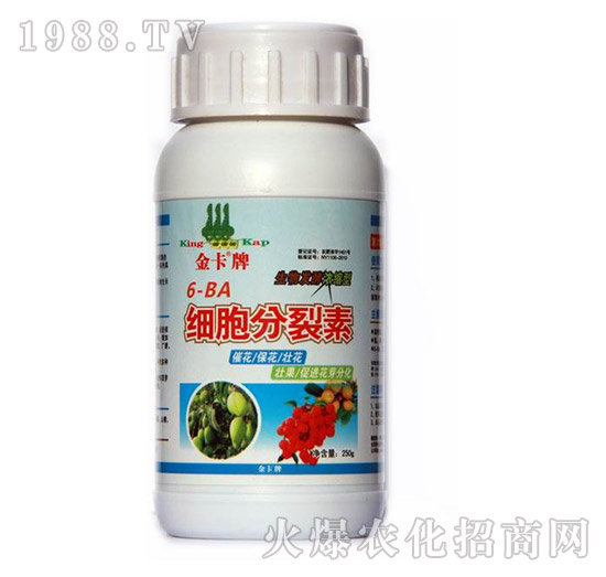 ����������-��-� �����