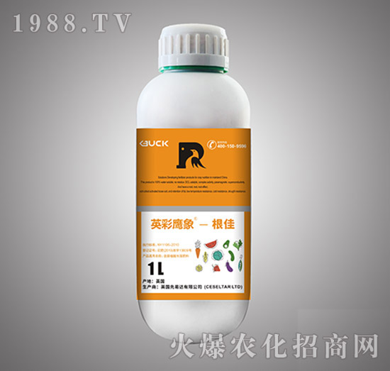 ����ֲ��ˮ�ܷ���-����-Ӣ������-����