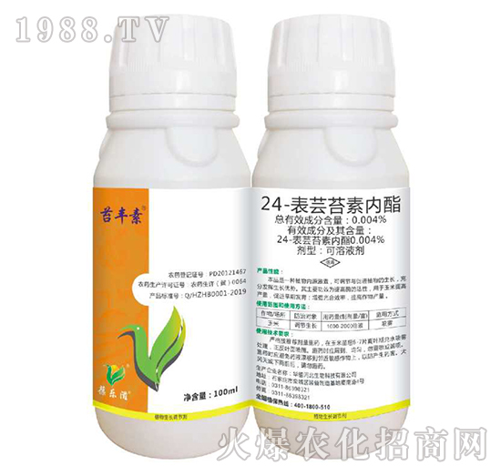 24-���|̦�؃���-�|�S��