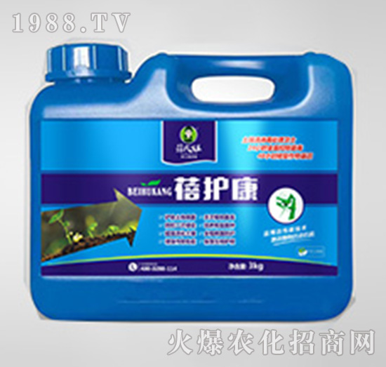 ����������������-���o��-�����-��������