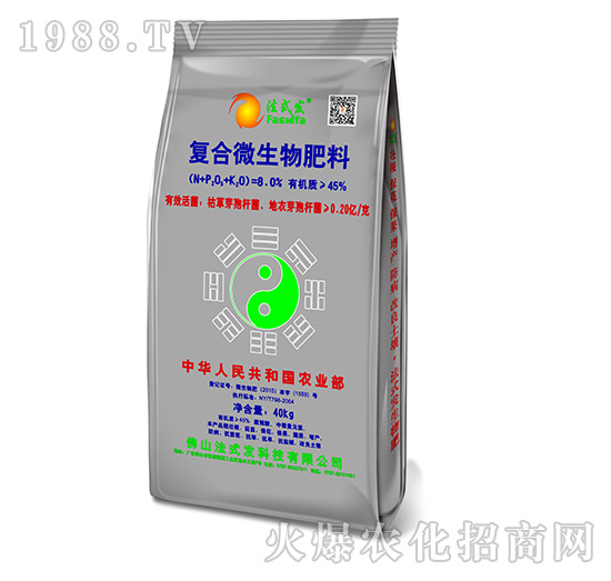 �ͺ�΢�������-��ʽ�l(f��)