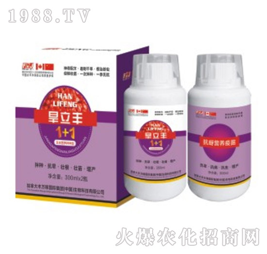 �����S���װ�N��-�S�f��