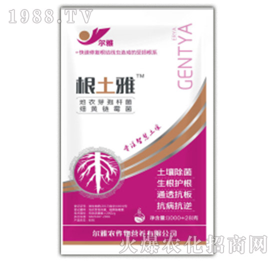 ������-����-Ǭ�r(n��ng)