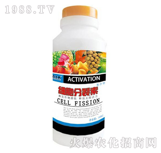 ���������؏�(f��)����-��ʿ��