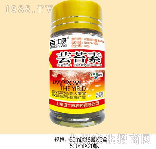 �|̦��-��ʿ��