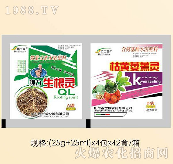 ���������`�����Sή���`-��ʿ��