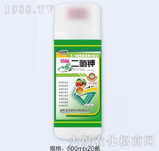 ��������-��ʿ��