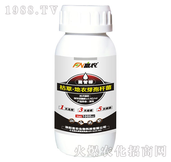 �ݲݡ�����ѿ�ߗU��-���ܼ�-���r